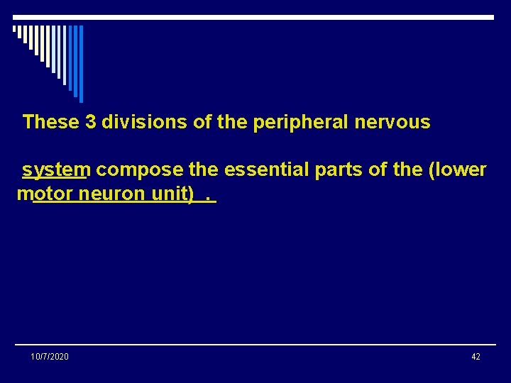 These 3 divisions of the peripheral nervous system compose the essential parts of the