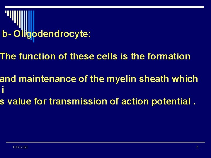 b- Oligodendrocyte: The function of these cells is the formation and maintenance of the