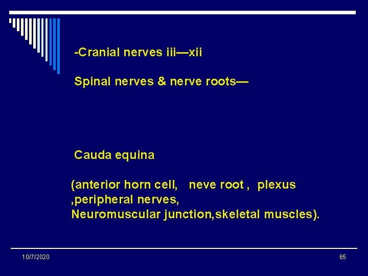 -Cranial nerves iii—xii Spinal nerves & nerve roots— Cauda equina (anterior horn cell, neve