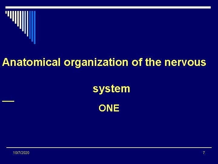 Anatomical organization of the nervous system ONE 10/7/2020 7 
