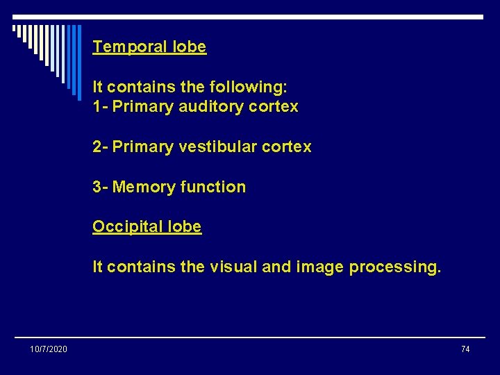 Temporal lobe It contains the following: 1 - Primary auditory cortex 2 - Primary