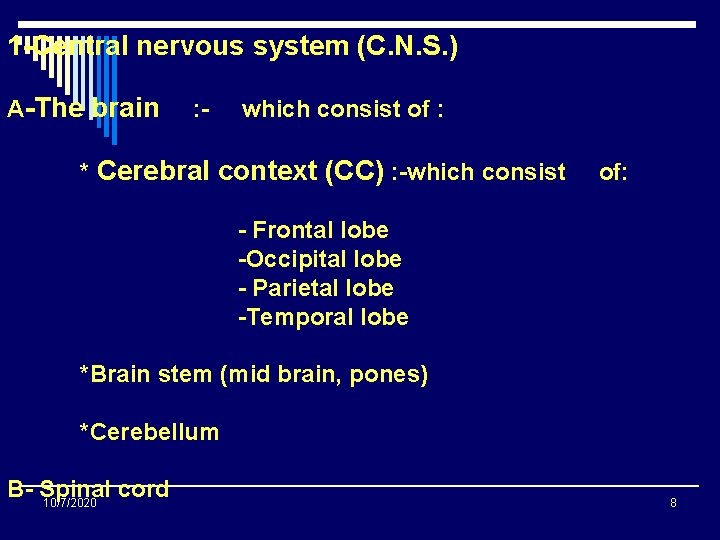 1 -Central nervous system (C. N. S. ) A-The brain : - which consist