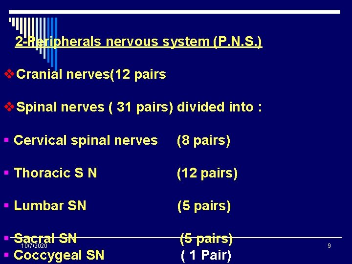 2 -Peripherals nervous system (P. N. S. ) v. Cranial nerves(12 pairs v. Spinal