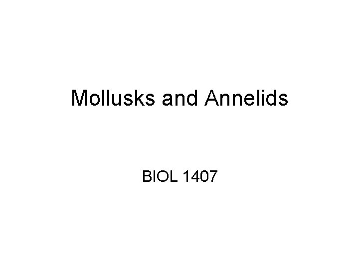 Mollusks and Annelids BIOL 1407 