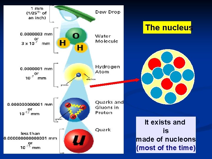 The nucleus It exists and is made of nucleons (most of the time) 