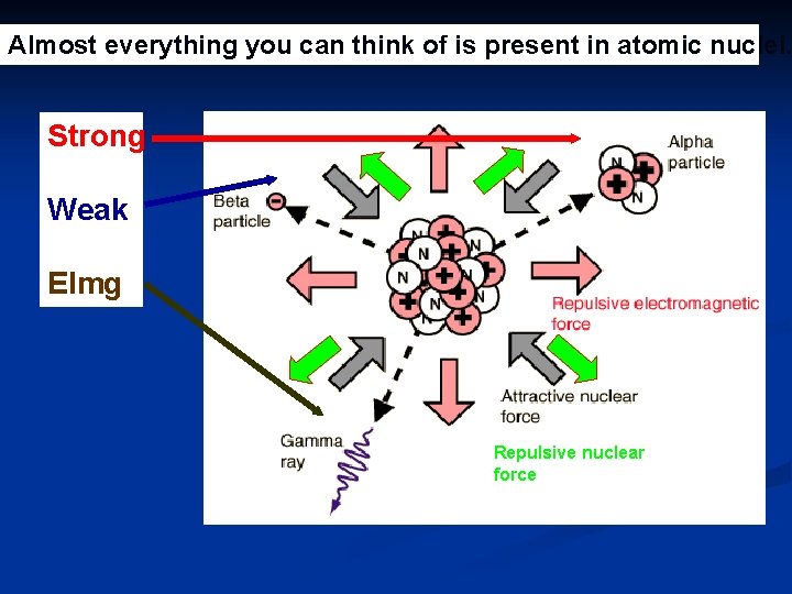 Almost everything you can think of is present in atomic nuclei… Strong Weak Elmg