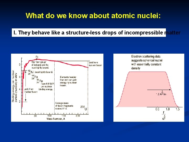 What do we know about atomic nuclei: I. They behave like a structure-less drops