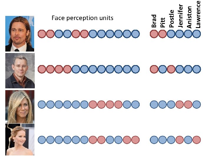 Brad Pitt Postle Jennifer Aniston Lawrence Face perception units 