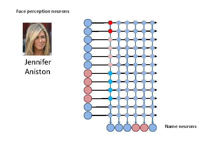 Face perception neurons Jennifer Aniston Name neurons 