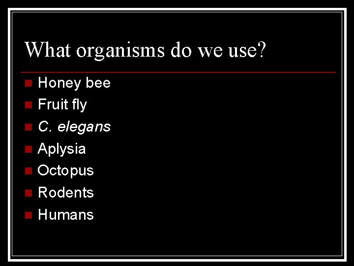 What organisms do we use? Honey bee n Fruit fly n C. elegans n