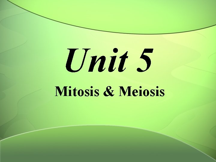 Unit 5 Mitosis & Meiosis 