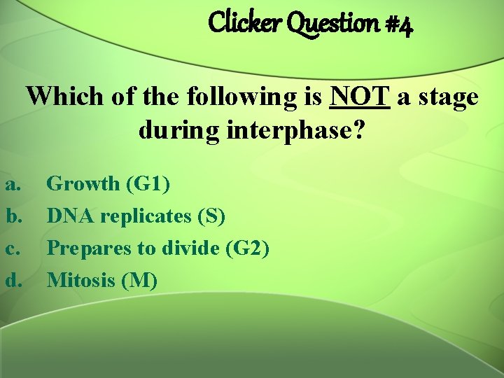 Clicker Question #4 Which of the following is NOT a stage during interphase? a.