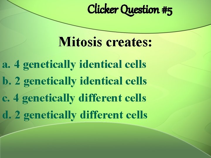 Clicker Question #5 Mitosis creates: a. 4 genetically identical cells b. 2 genetically identical