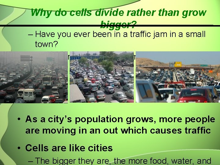 Why do cells divide rather than grow bigger? – Have you ever been in