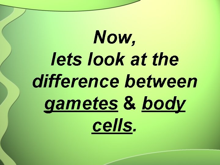 Now, lets look at the difference between gametes & body cells. 