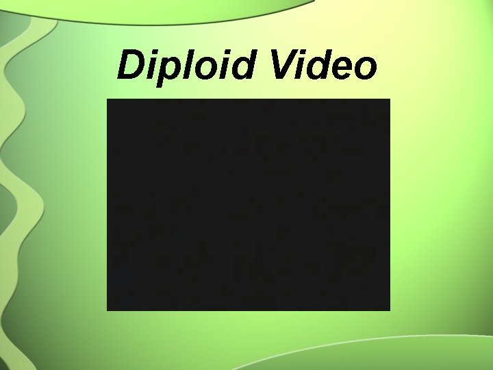 Diploid Video 