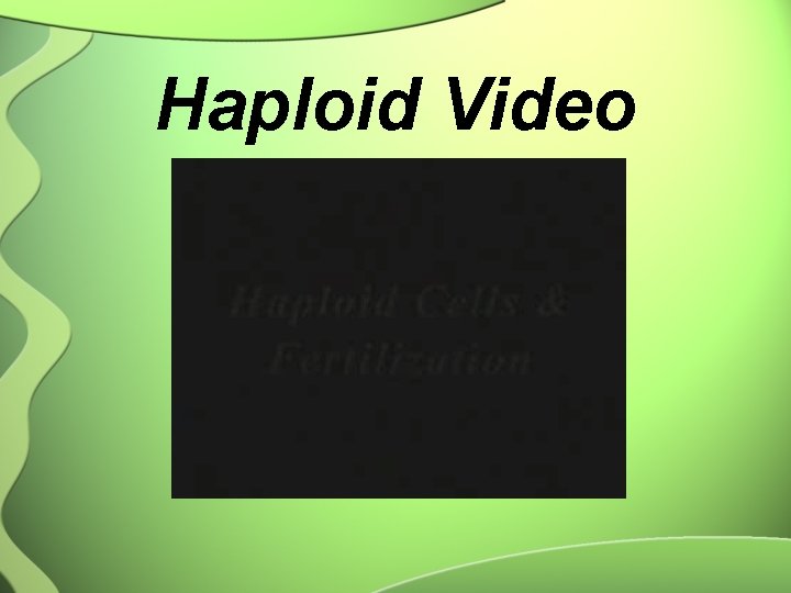 Haploid Video 