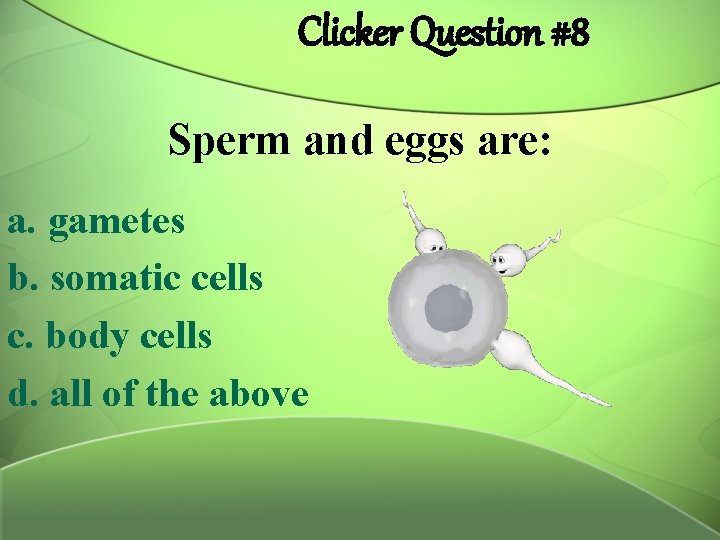 Clicker Question #8 Sperm and eggs are: a. gametes b. somatic cells c. body