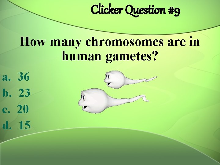 Clicker Question #9 How many chromosomes are in human gametes? a. b. c. d.