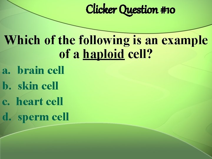 Clicker Question #10 Which of the following is an example of a haploid cell?