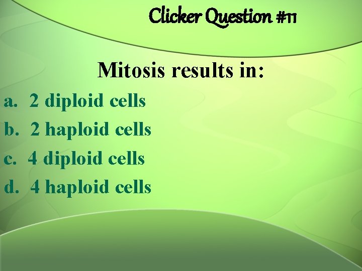 Clicker Question #11 Mitosis results in: a. b. c. d. 2 diploid cells 2