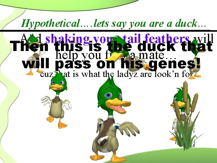 Hypothetical…. lets say you are a duck… And shaking your tail feathers will Then