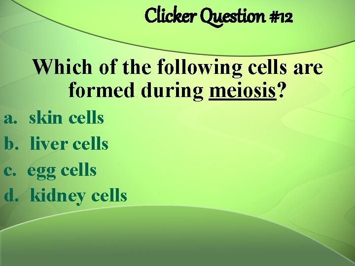 Clicker Question #12 Which of the following cells are formed during meiosis? a. b.