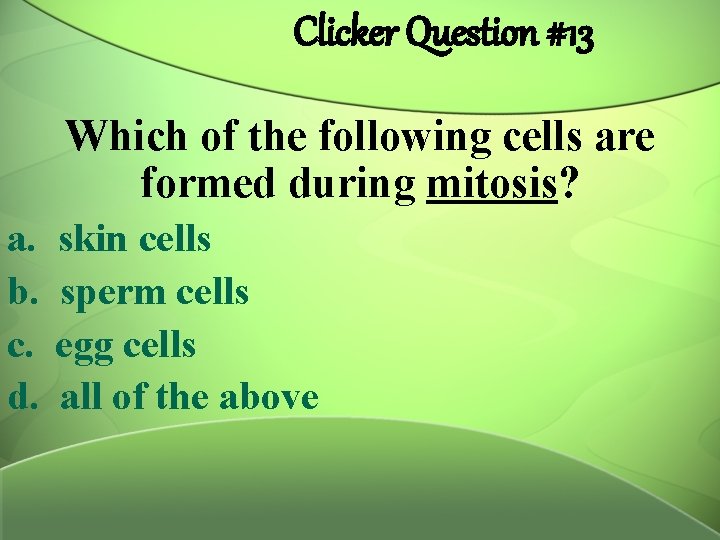 Clicker Question #13 Which of the following cells are formed during mitosis? a. b.