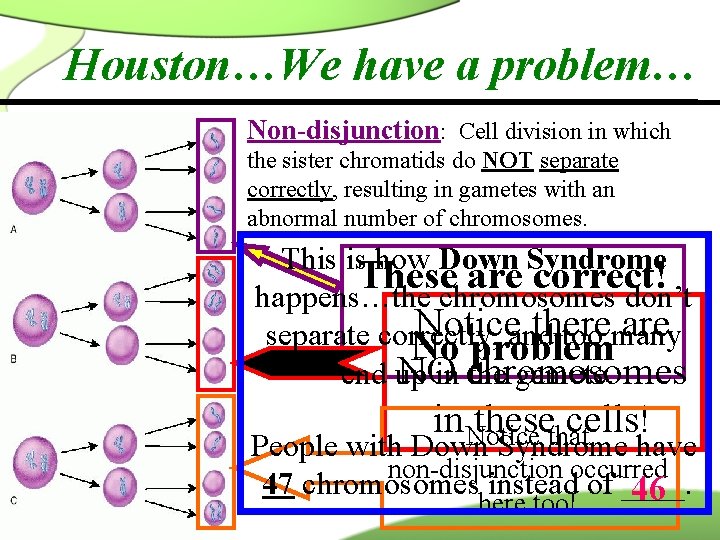 Houston…We have a problem… Non-disjunction: Cell division in which the sister chromatids do NOT