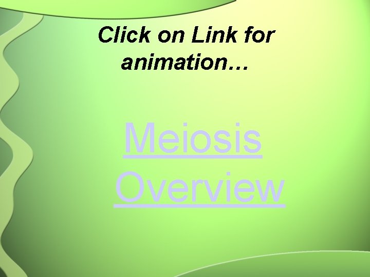 Click on Link for animation… Meiosis Overview 