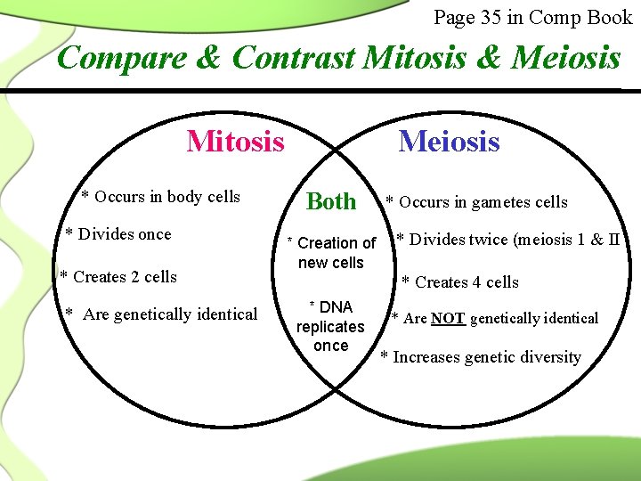 Page 35 in Comp Book Compare & Contrast Mitosis & Meiosis Mitosis * Occurs