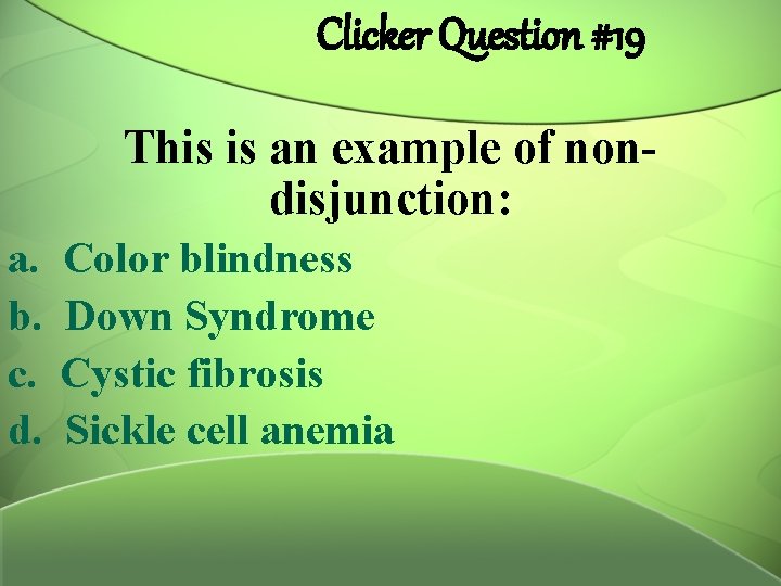 Clicker Question #19 This is an example of nondisjunction: a. b. c. d. Color