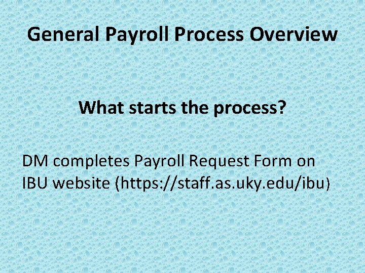 General Payroll Process Overview What starts the process? DM completes Payroll Request Form on