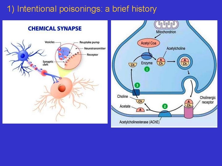 1) Intentional poisonings: a brief history 