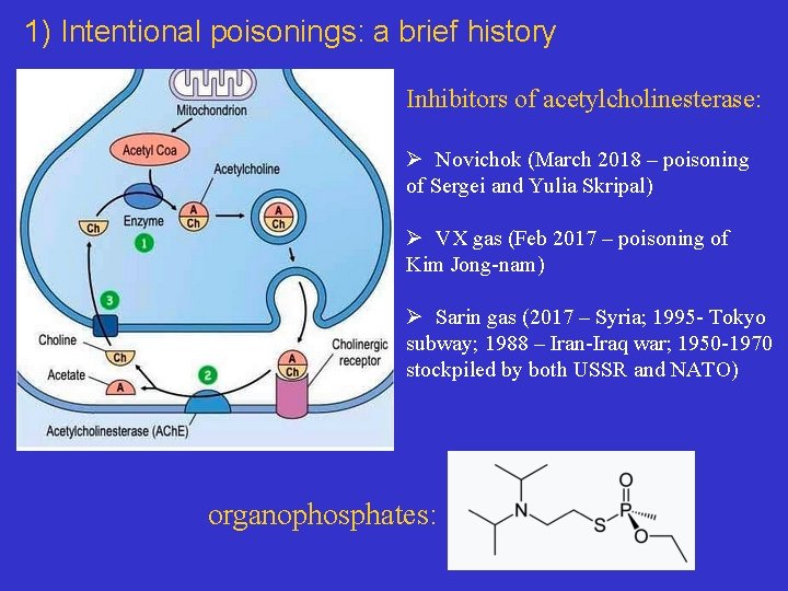 1) Intentional poisonings: a brief history Inhibitors of acetylcholinesterase: Ø Novichok (March 2018 –