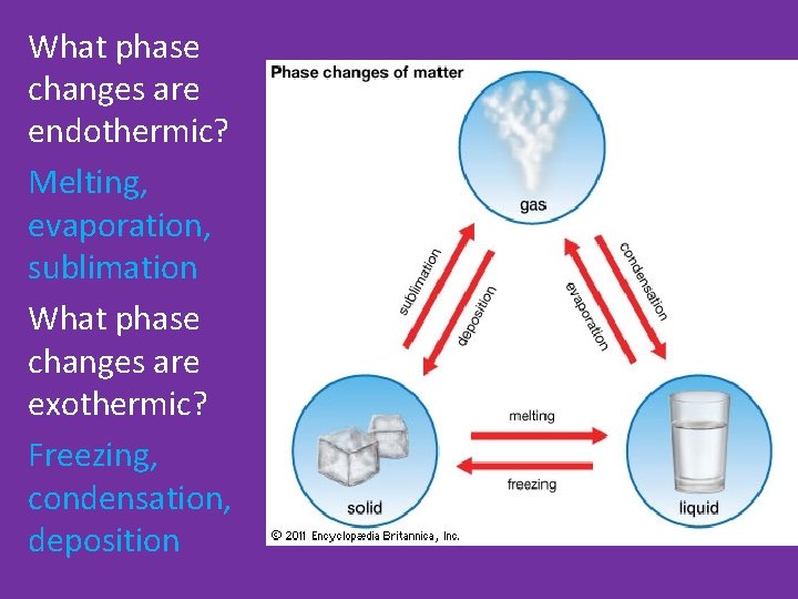 What phase changes are endothermic? Melting, evaporation, sublimation What phase changes are exothermic? Freezing,