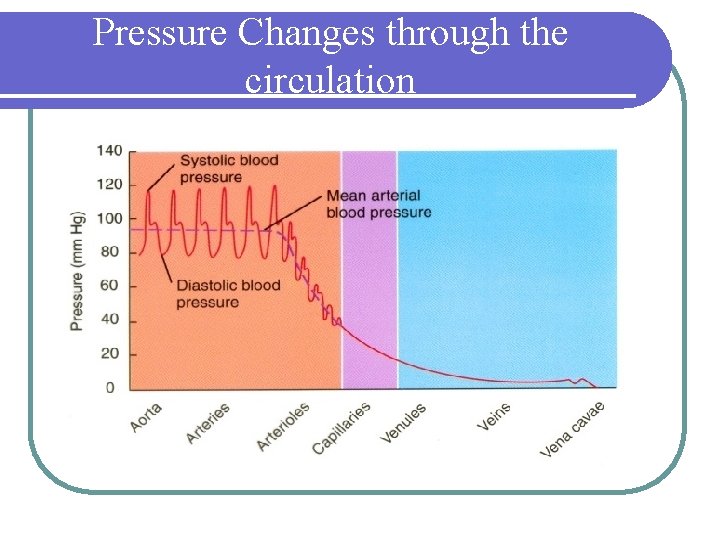 Pressure Changes through the circulation 