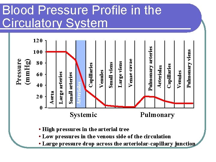 Blood Pressure Profile in the Circulatory System 20 0 Systemic Pulmonary viens Venules Capillaries