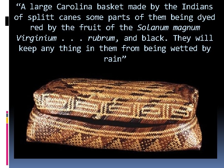 “A large Carolina basket made by the Indians of splitt canes some parts of