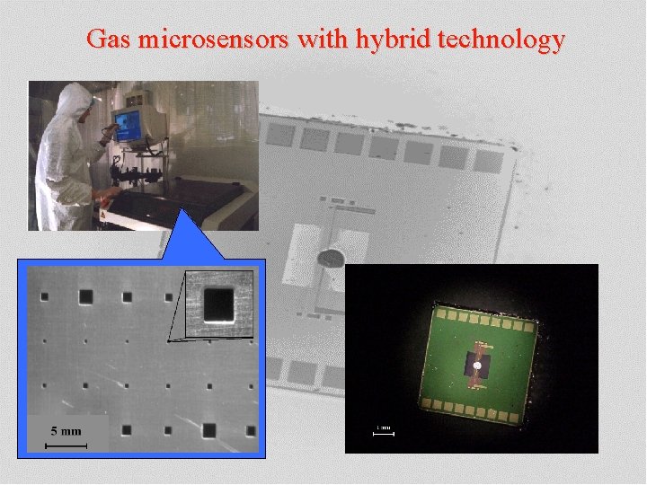 Gas microsensors with hybrid technology 