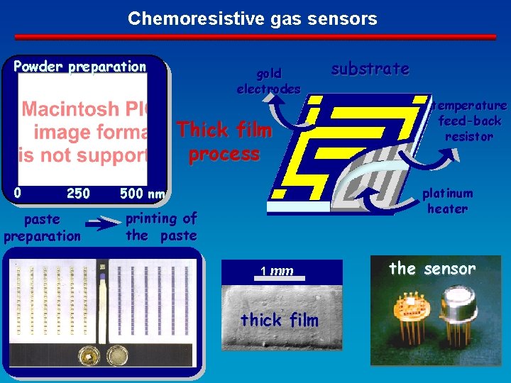 Chemoresistive gas sensors Powder preparation gold electrodes Thick film process 0 250 paste preparation