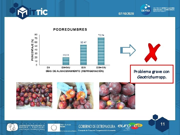 07/10/2020 Problema grave con Geotrichum spp. 11 