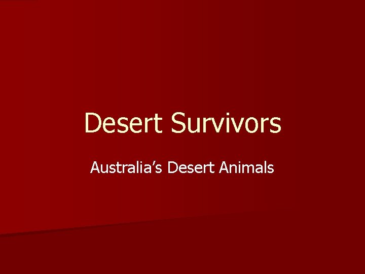 Desert Survivors Australia’s Desert Animals 