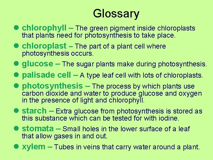 Glossary l chlorophyll – The green pigment inside chloroplasts that plants need for photosynthesis Glossary l chlorophyll – The green pigment inside chloroplasts that plants need for photosynthesis