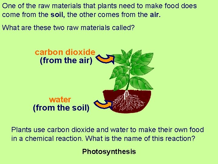 One of the raw materials that plants need to make food does come from