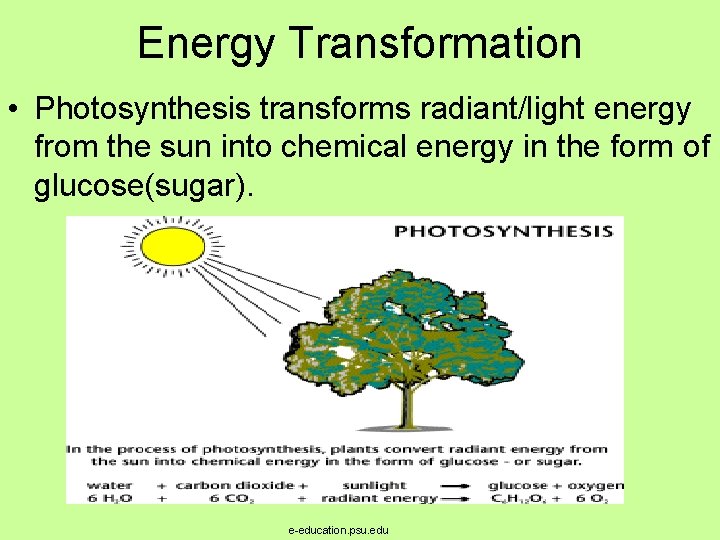 Energy Transformation • Photosynthesis transforms radiant/light energy from the sun into chemical energy in Energy Transformation • Photosynthesis transforms radiant/light energy from the sun into chemical energy in