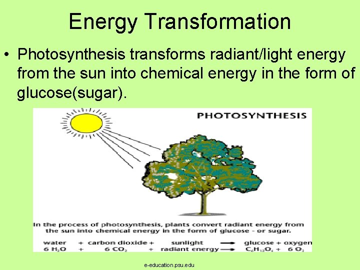 Energy Transformation • Photosynthesis transforms radiant/light energy from the sun into chemical energy in