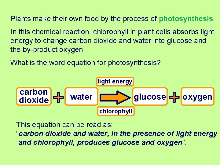 Plants make their own food by the process of photosynthesis. In this chemical reaction,