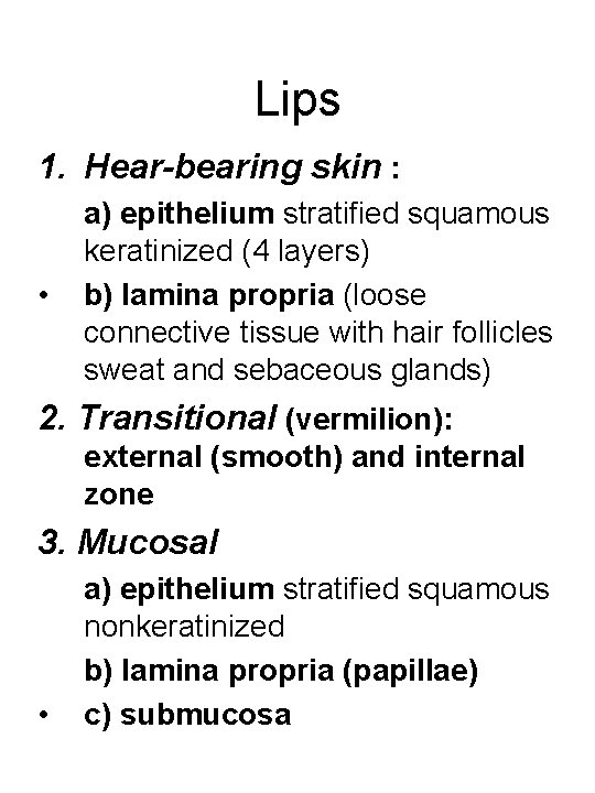 Lips 1. Hear-bearing skin : • а) epithelium stratified squamous keratinized (4 layers) b)