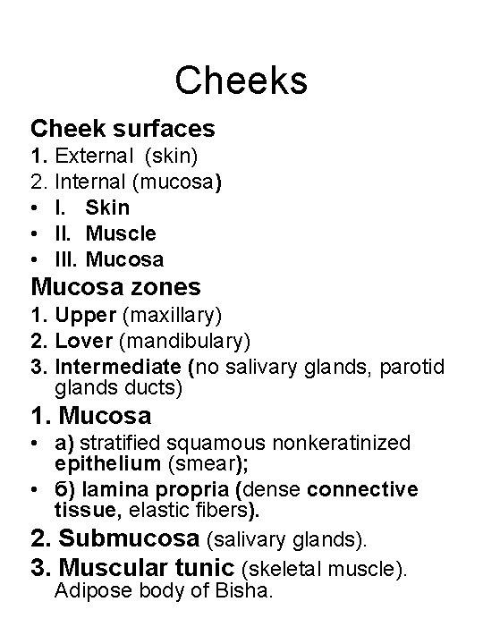 Cheeks Cheek surfaces 1. External (skin) 2. Internal (mucosa) • І. Skin • ІІ.